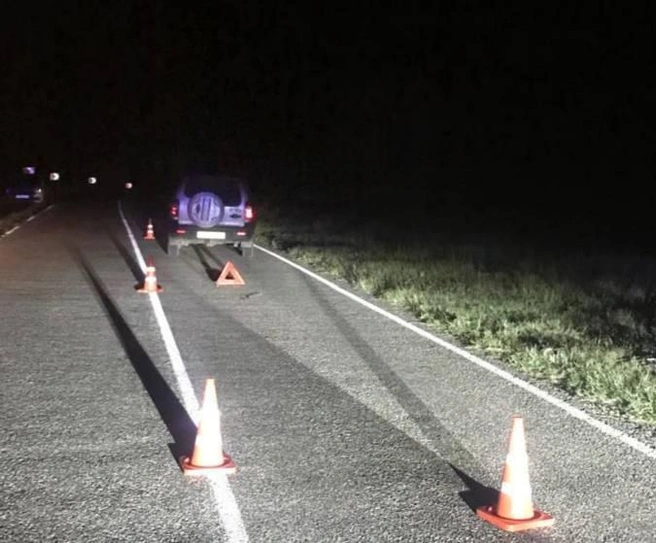 На Ставрополье водитель насмерть сбил ребенка, который шел в темноте по дороге | Источник: Госавтоинспекция Ставропольского края
