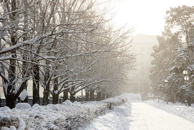 Cold Snap Expected in Ryazan Region — Weather Warning from Ministry of Emergency Situations