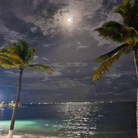 Аватарка grenk