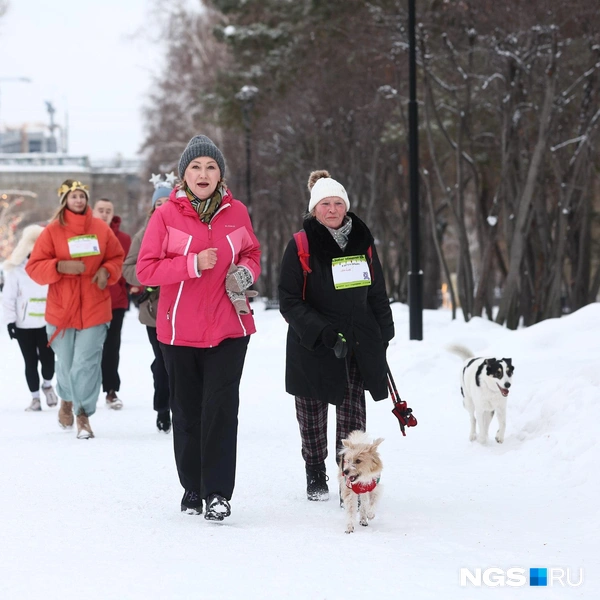 Собаки поддерживали хозяев | Источник: Александр Ощепков / NGS.RU
