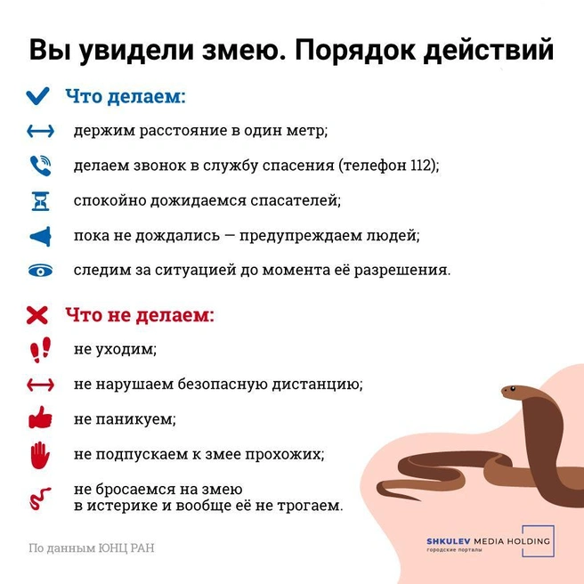 Источник: Полина Авдошина / Городские порталы