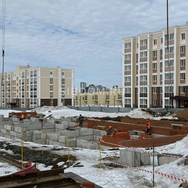 Источник: kemerovo.sibdom.ru