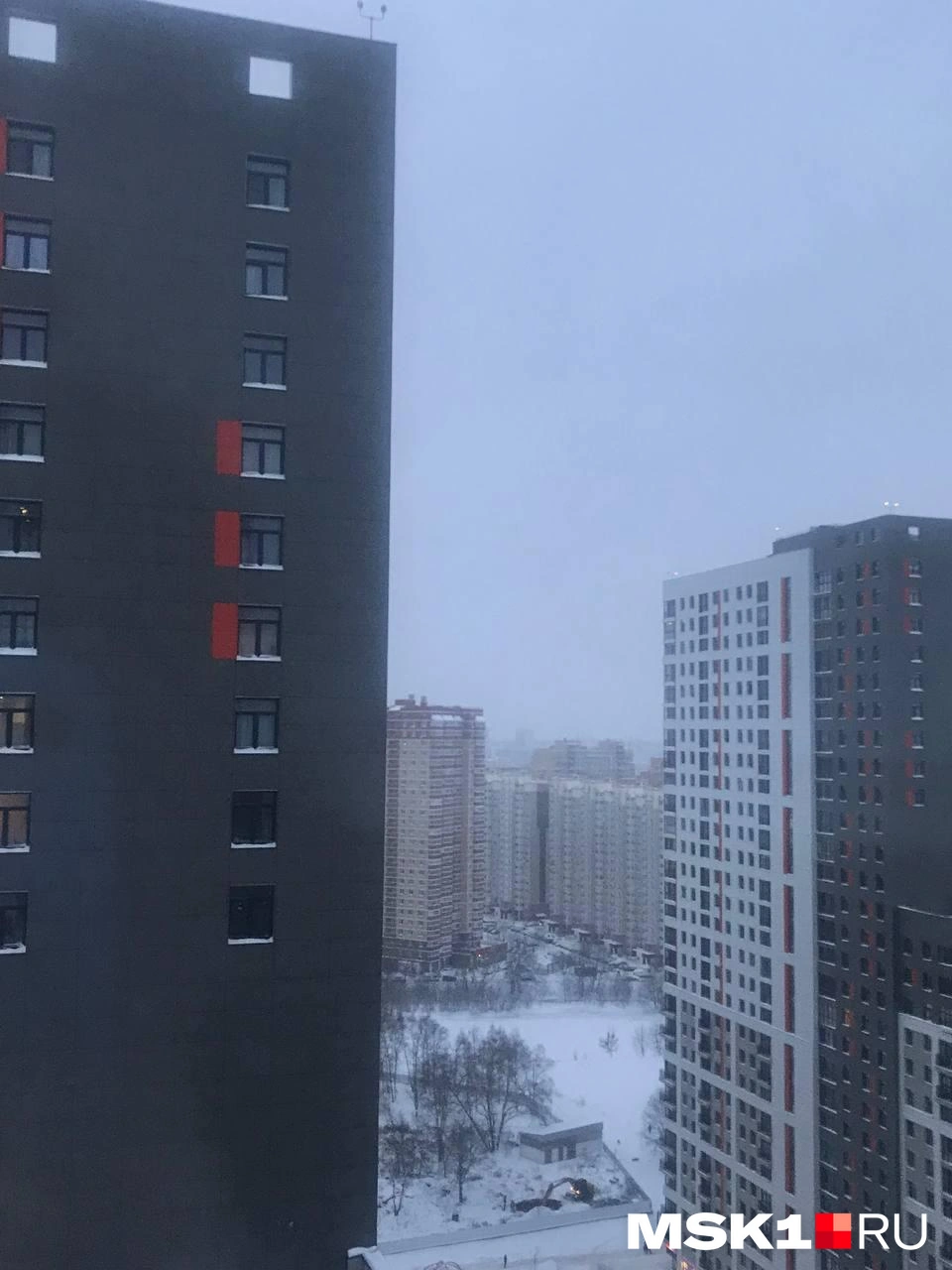 Надежда больше полугода прожила в Котельниках | Источник: читательница MSK1.RU
