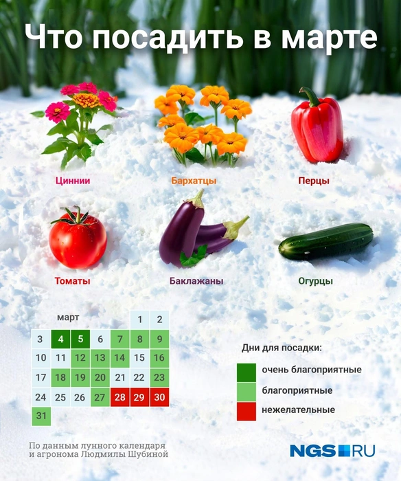 Сохраните себе эту картинку | Источник: Юрий Орлов / Городские медиа