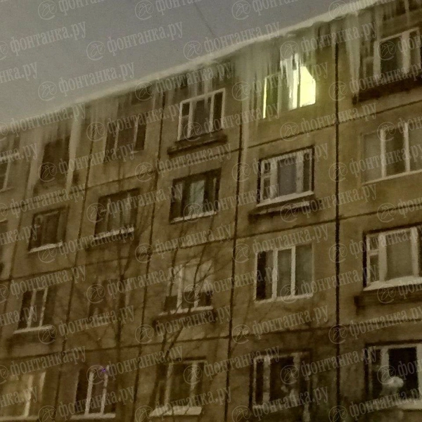 Бульвар Красных зорь, 4 | Источник: читатель «Фонтанки»