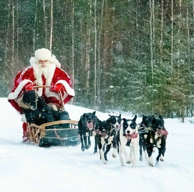 Источник: Фото предоставлено вотчиной карельского Деда Мороза&nbsp;— Талвиукко