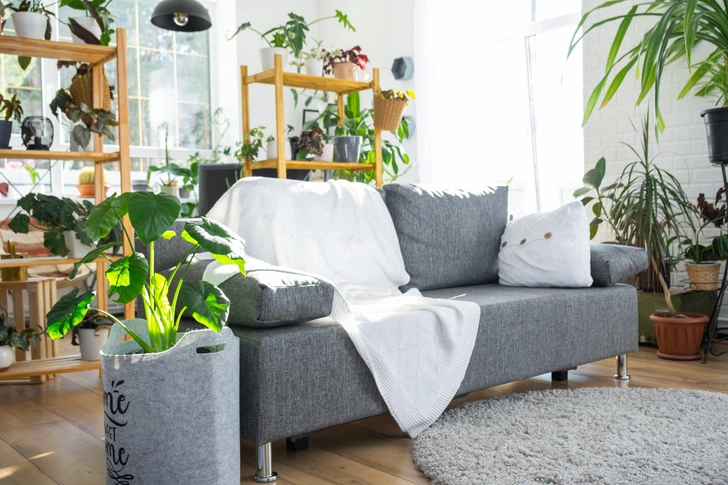 Источник: Legion-Media