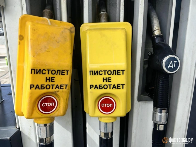 Источник: Ксения Потеева / FONTANKA.RU