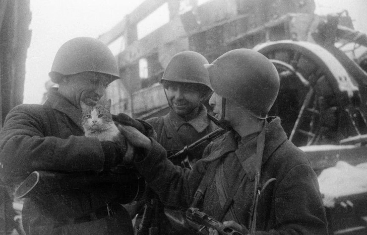 «Мирные воспоминания». Яков Рюмкин, Сталинград, 10 декабря 1942 года | Источник: Яков Рюмкин, via photo.may9.ru