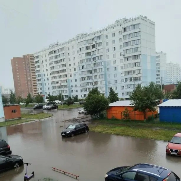 Источник: NGS.RU