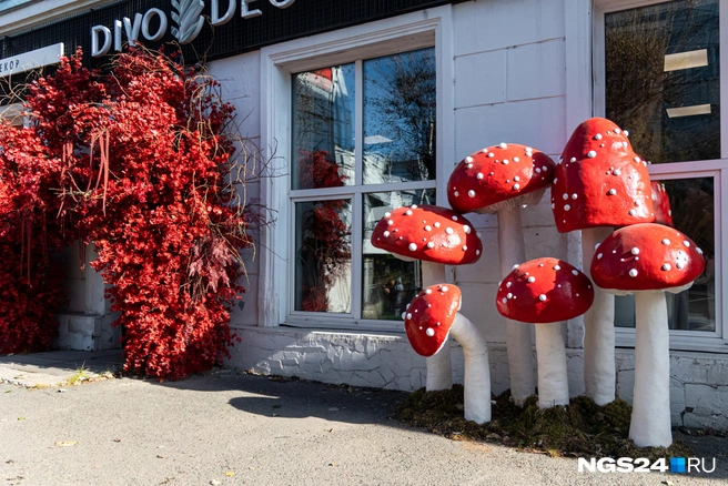 А на входе сколько листвы! Срочно нужно делать красивые фото | Источник: Мария Ленц / NGS24.RU