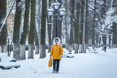 hh.ru analysts name best times to look for new jobs