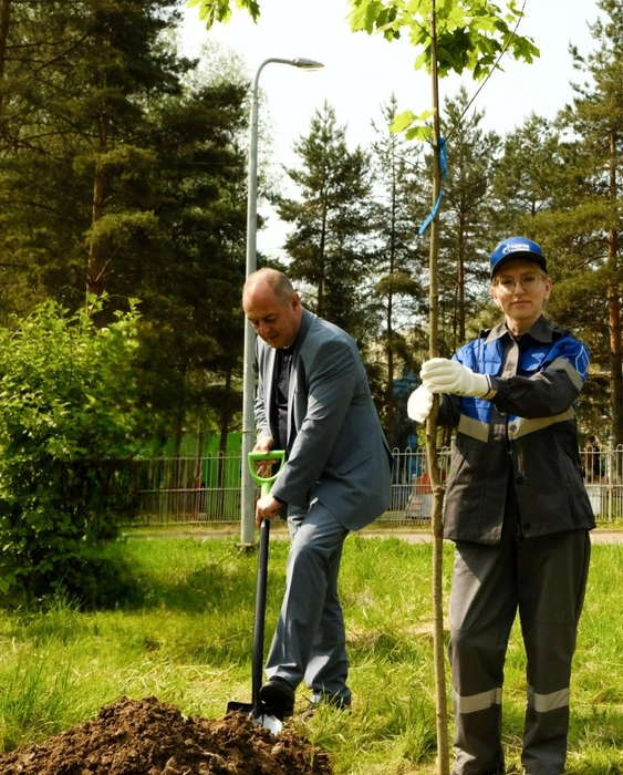 В посадке принял участие генеральный директор компании Алексей Базин | Источник: «Газпром газораспределение Ярославль»