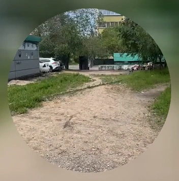 Источник: очевидец