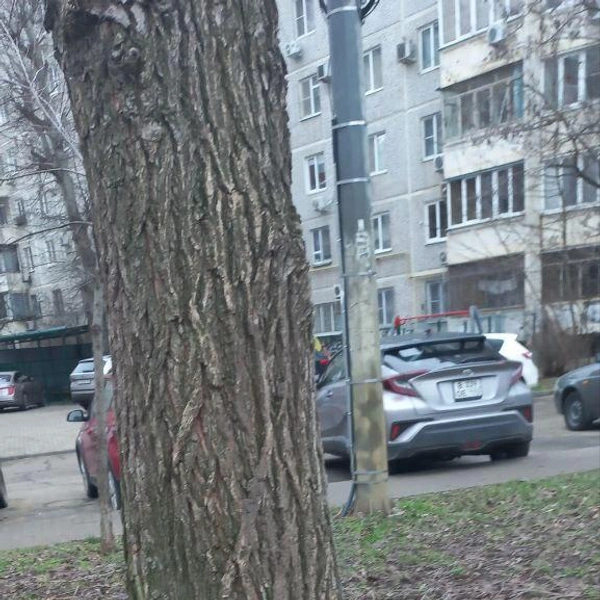 Источник: Краснодар ЮМР / T.me
