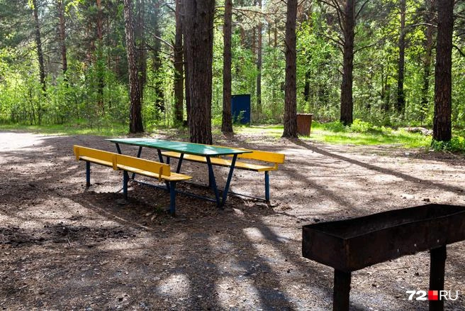Комплектов беседок с мангалами тут должно быть ровно три. Если приедете, можете пересчитать любопытства ради | Источник: Ирина Шарова / 72.RU 