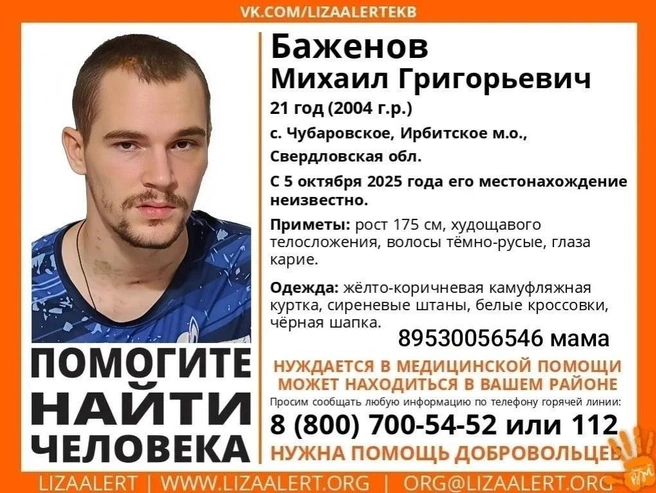 Источник: поисковый отряд «ЛизаАлерт»