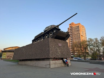 Источник: Алёна Воропаева / Voronezh1.ru