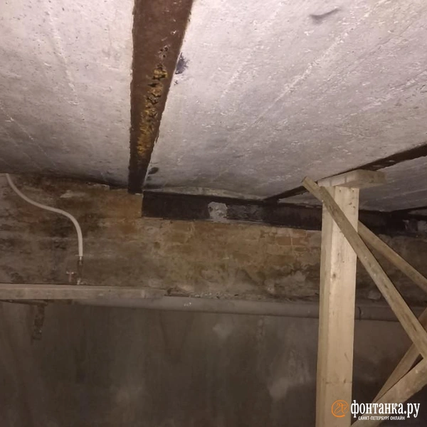 Источник: «Фонтанка.ру»