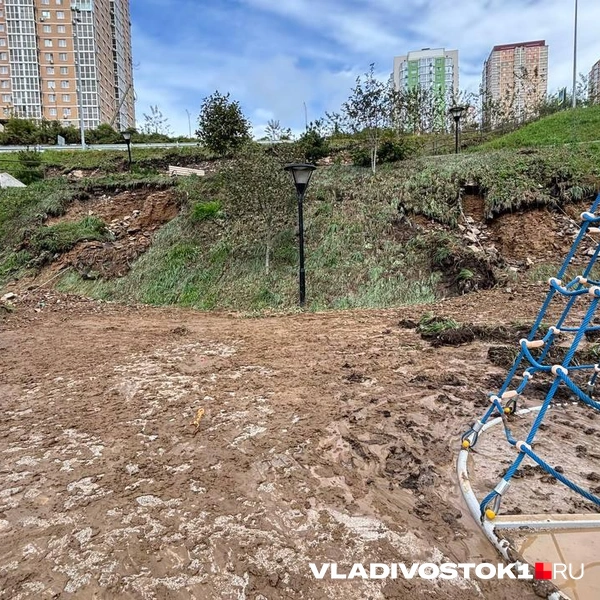 Источник: Елена Буйвол / VLADIVOSTOK1.RU