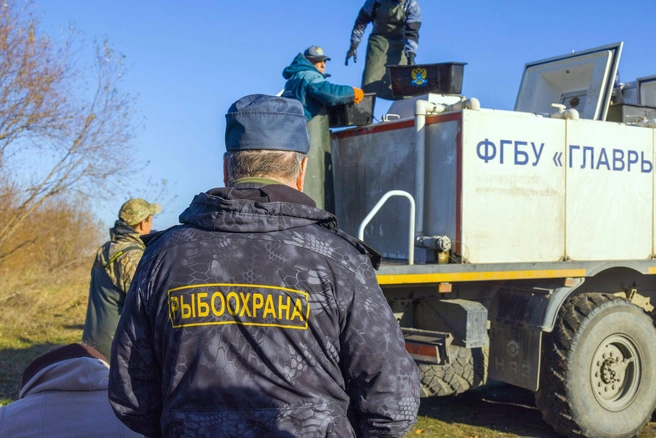Мальков доставили в Челябинск на ПМЖ из Краснодарского края | Источник: Валерий Звонарев