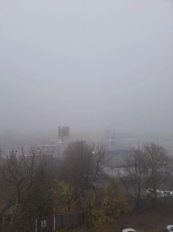 «Как ежики в тумане» | Источник: читатель V1.RU