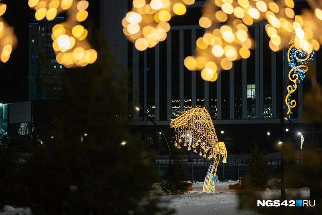 Источник: Максим Серков / NGS42.RU