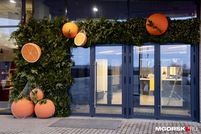 Комплекс построили за год | Источник: Наталья Черепанова / MGORSK.RU