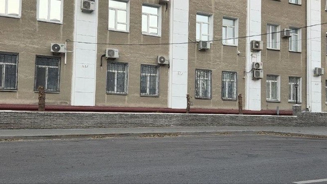 Что посадят вместо старых деревьев? | Источник: Алёна Кисель /45.RU