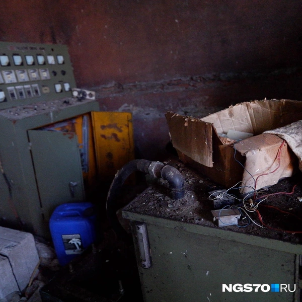 Источник: Варвара Фролова / NGS70.RU