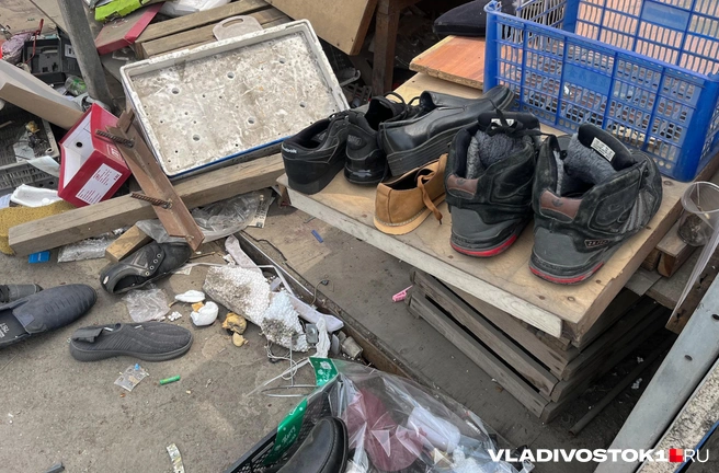 Источник: Елена Буйвол / VLADIVOSTOK1.RU