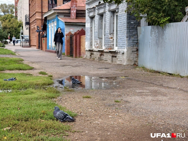 На месте уже образовались лужи, в которых купаются голуби | Источник: Булат Салихов / UFA1.RU