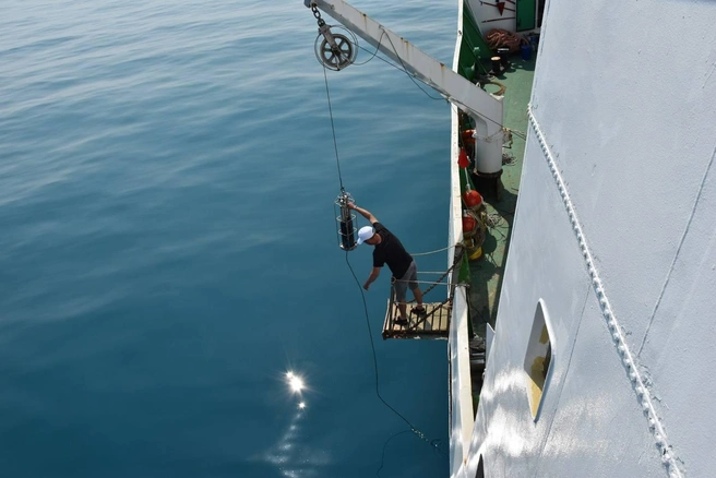 Ученые исследовали Черное море на 154 точках от границы с территориальными водами Абхазии вдоль Краснодарского края до Керченского пролива и Севастополя | Источник: пресс-служба ФИЦ ИнБЮМ (Федеральный исследовательский центр «Институт биологии южных морей»)