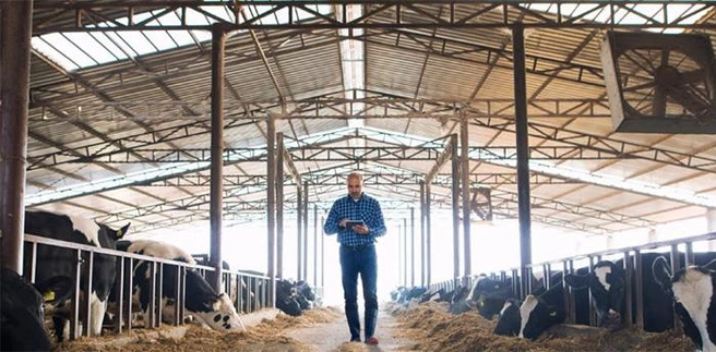 Источник: krasnodar.hh.ru