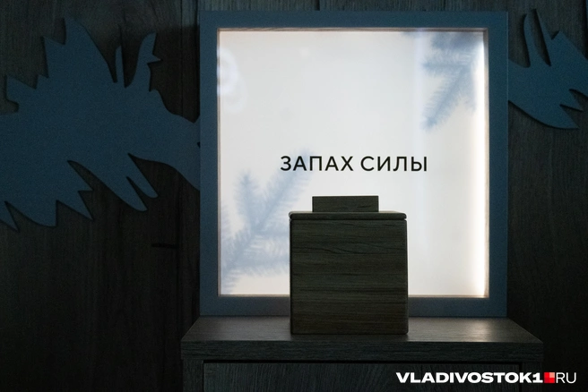 Источник: Елена Буйвол / VLADIVOSTOK1.RU