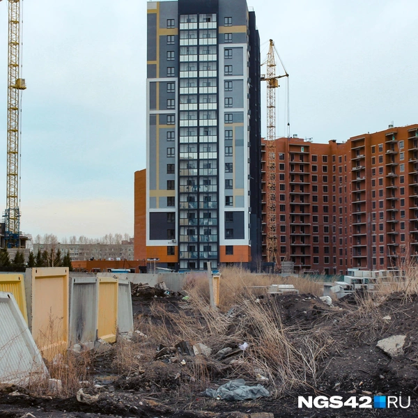 Источник: Валерия Городецкая / NGS42.RU
