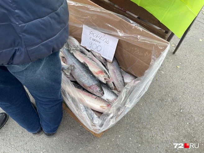 Форель с икрой стоит 900 рублей. Тюменцы покупают эту рыбу | Источник: Радик Енчу / 72.RU