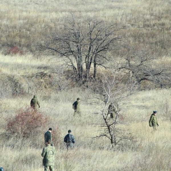 Поисковики прочесывали село Сестренки и хутор Ионово Камышинского района | Источник: ГУ МВД России по Волгоградской области