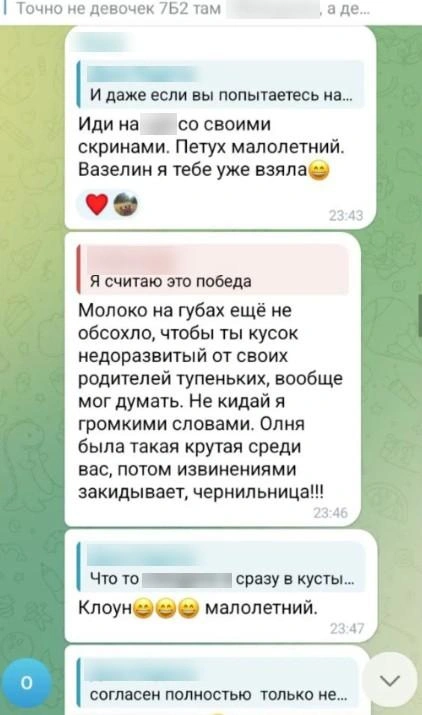 На все обвинения в оскорблениях Олеся отвечает: «Пусть докажут, что получили лично они и от меня» | Источник: предоставлено редакции MSK1.RU