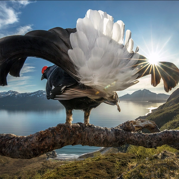 Источник: BigPicture