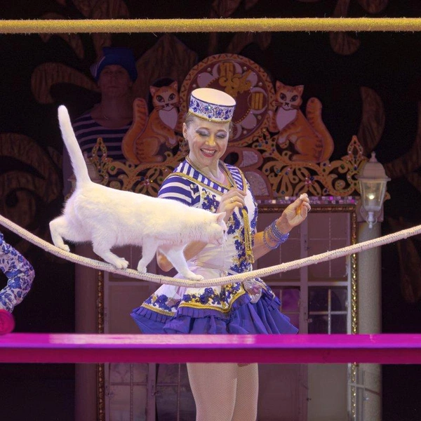 Источник: Рязанский государственный цирк