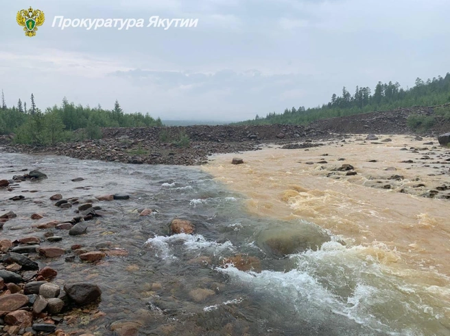 Так выглядела река | Источник: Прокуратура Якутии / t.me