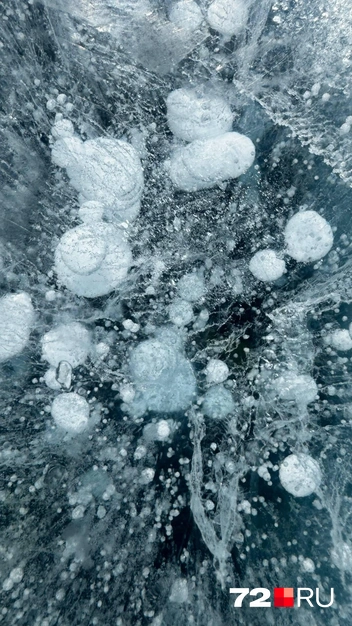 Хочется фотографировать каждую мелочь | Источник: из личного архива Евгении Дегтянниковой