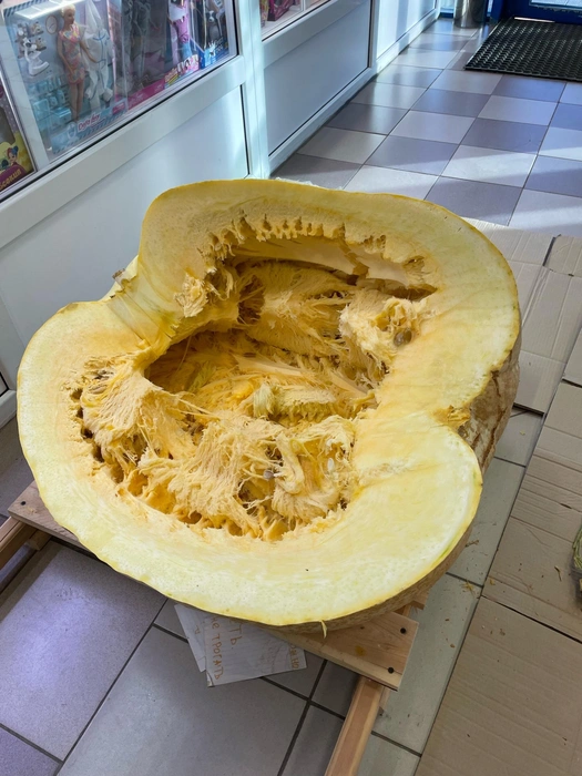 Так Беляш выглядит внутри | Источник: Наталья Горелик