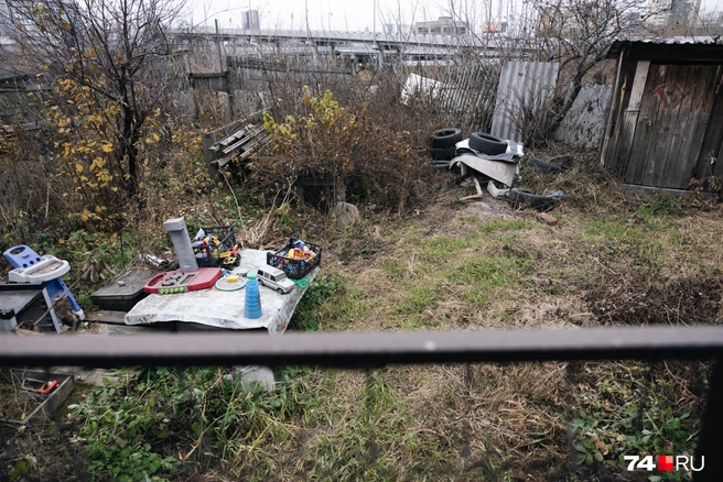 Кабачок сидит возле закрытого на замок огорода. Тут ничего не выращивают&nbsp;— Татьяне Ивановне это не надо | Источник: Наталья Лапцевич