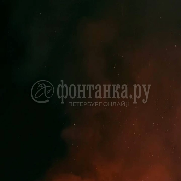Источник: Читательница «Фонтанки» Александра