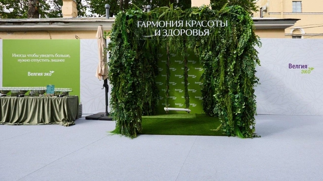 «Качели лёгкости» | Источник: «Шкулёв Медиа Холдинг»