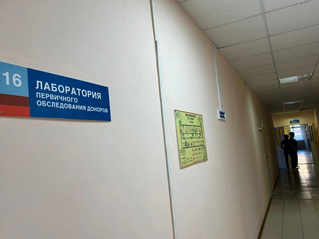 Источник: Александра