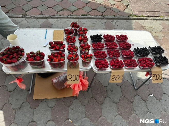 Сибиряки охотно покупают свежую ягоду | Источник: Павел Пешков / NGS.RU