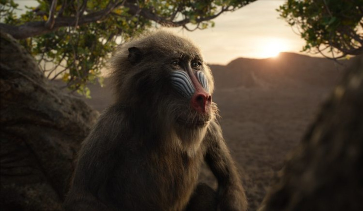 Что посмотреть: 5 фильмов про самых крутых обезьян